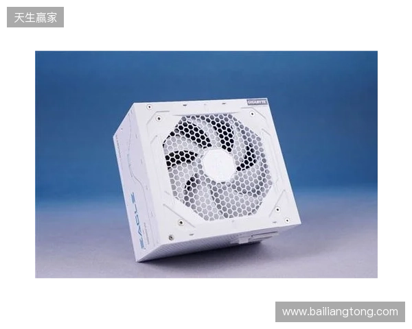 黑白双鹰，白金降临：技嘉猎鹰 冰猎鹰白金电源4月27日开售